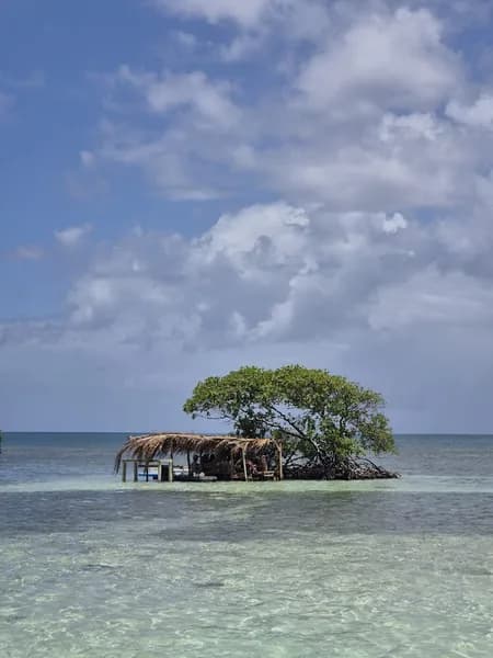 Gwada Walk Tour - photo 4