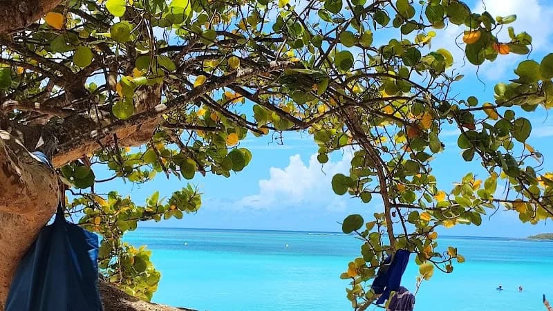 Infirmier Pascal Kelly Saint-François