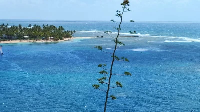 Infirmier Pascal Kelly Saint-François - photo 2