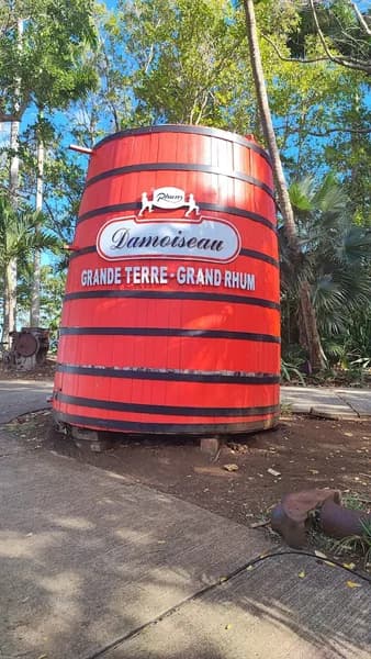 Infirmier Pascal Kelly Saint-François - photo 3