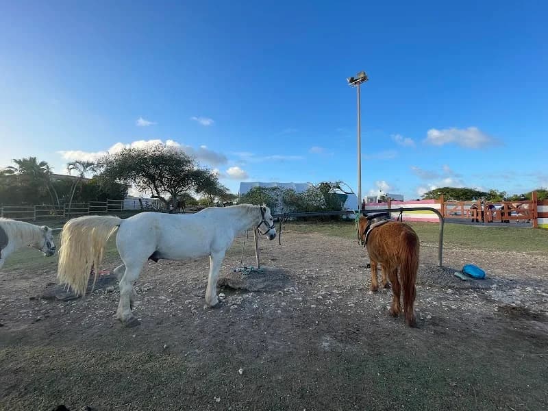 Karukera Cycle - photo 4