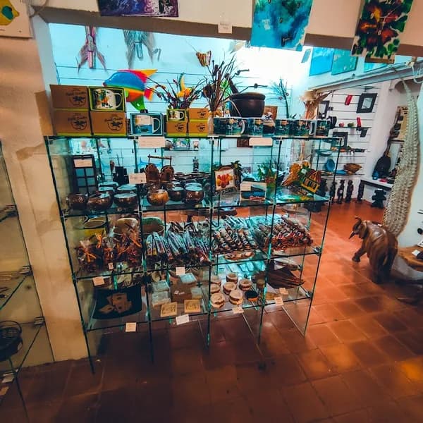 Magasin Le Blé en Herbe - photo 2