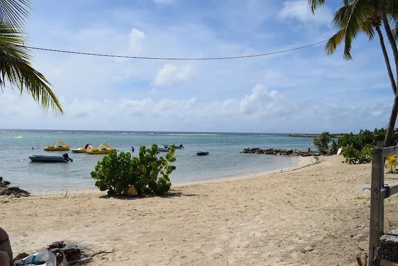 Le Mareyeur - photo 4