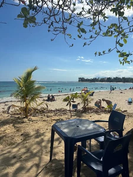 Restaurant Les Raisins Clairs