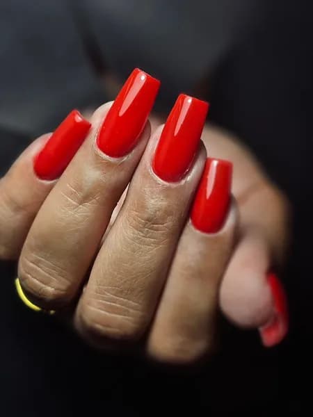 Mrs Beauty’s Saint François - photo 3