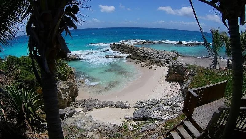 Restaurant Océan Tradition - photo 4