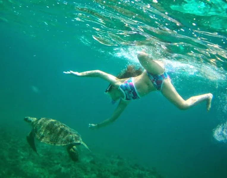 Promenade en mer Aliza.fr - photo 4