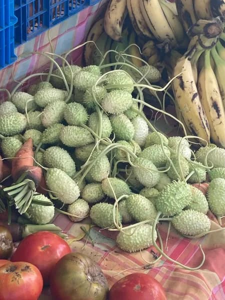 Magasin P’tit Coin Bio Saint-François - photo 4