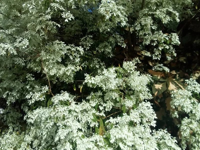 Saint François Construction