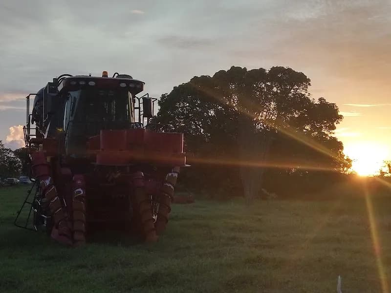 Saint François Construction - photo 2