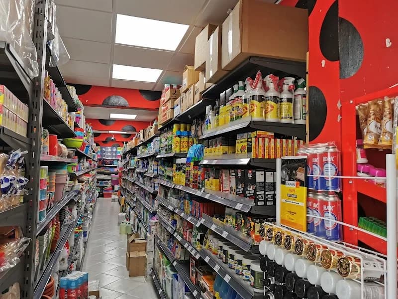 Saint-François Surf Shop - photo 3