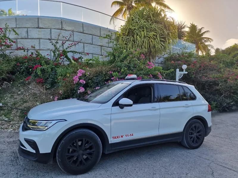 Taxi Firmin - photo 2