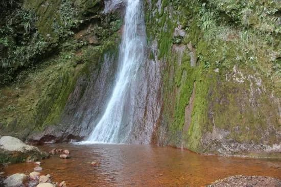 Taxi Georgette - photo 2