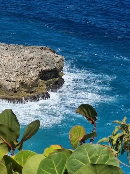 Plongée Man Balaou Marie-Galante