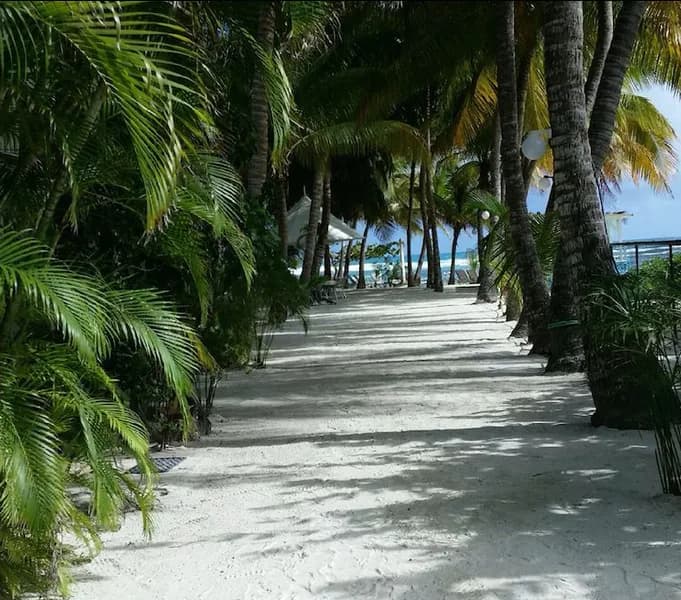 Coralie Morgan - photo 2