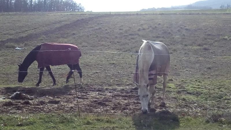 L’écurie de Pégase Sainte-Anne - photo 2