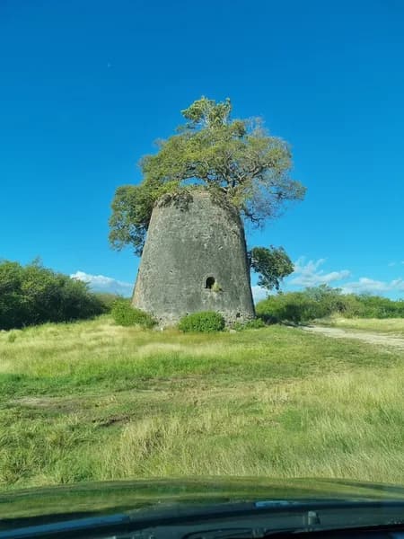 Flocon de Neige - photo 2