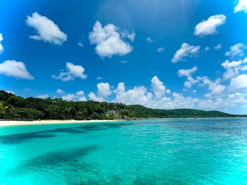 Gwad Evasion - photo 2