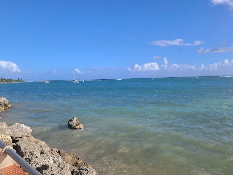 Jasor Bruno - photo 2