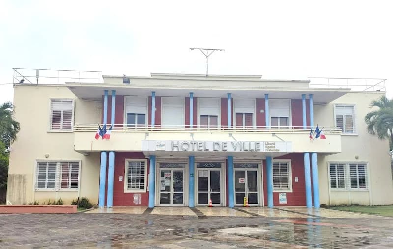 Naturopathe Miel Sainte-Anne