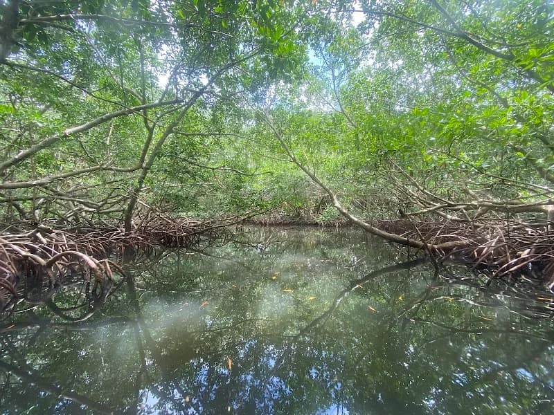 Alizés Adventure Sainte-Rose - photo 2