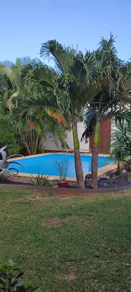 Amosse Muriel - photo 2