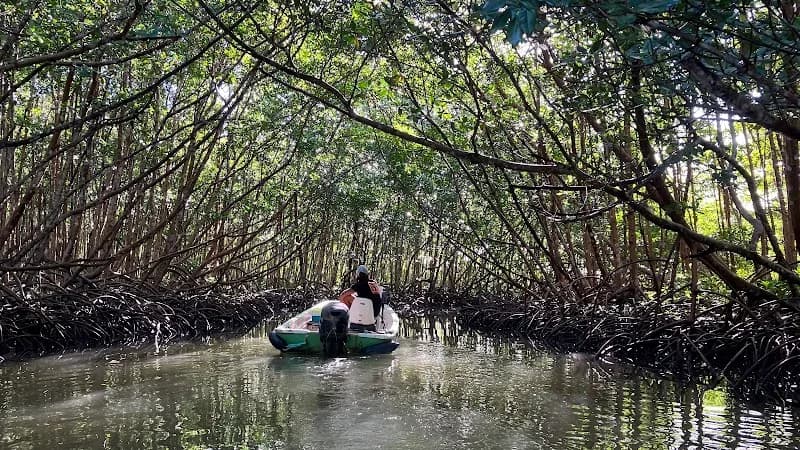 Bleu Blanc Vert Excursions Sainte Rose - photo 2