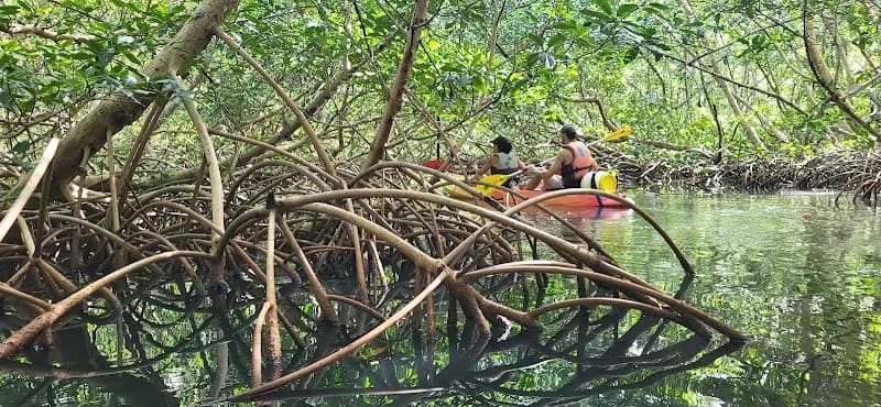 Canoë-Kayak Tam Tam Pagaie Sainte-Rose