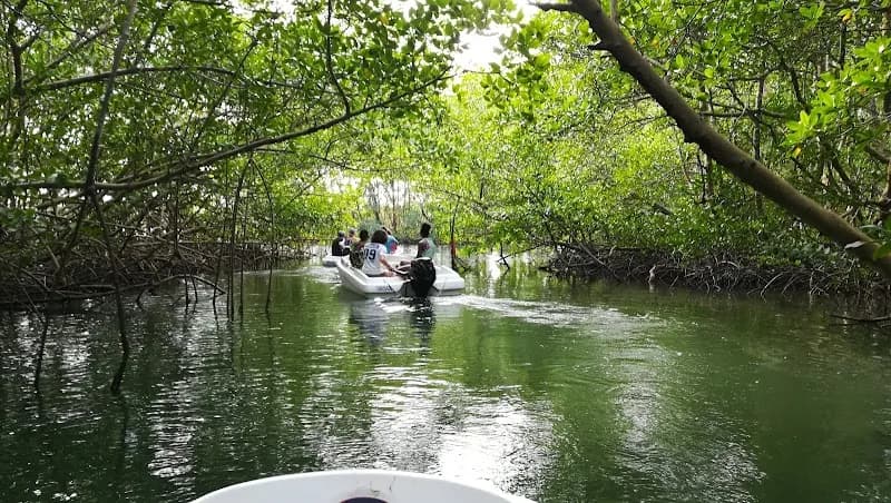 Excursion Jeanne Cynthia Sainte-Rose