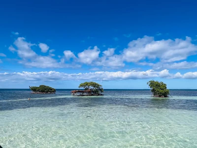 Excursion Passion Bleue Caraibe Sainte-Rose