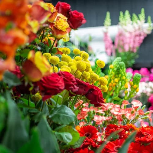 Fleuriste Clairmina Fleurs Sainte-Rose