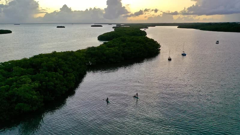 Tom Paddle Evasion - photo 2