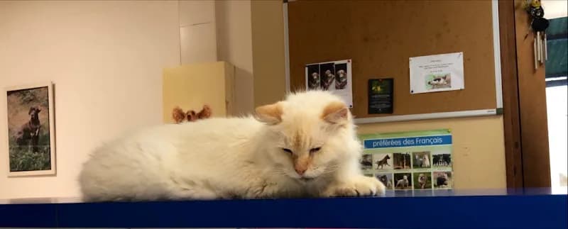 Vétérinaire Camboulin Denis