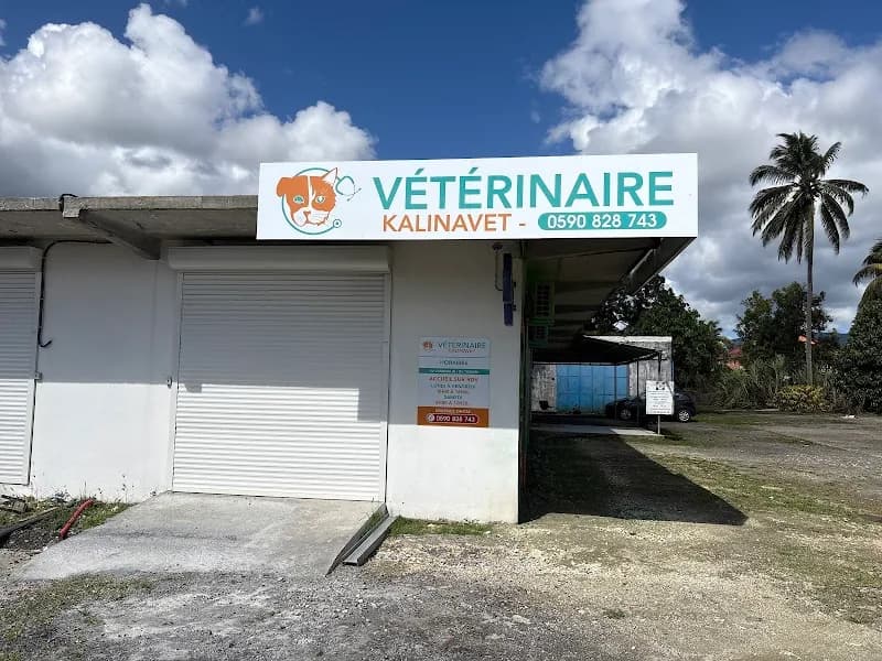 Vétérinaire Camboulin Denis - photo 2