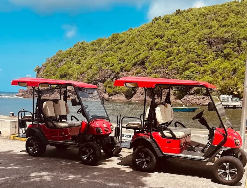 Iguana Locations - photo 2