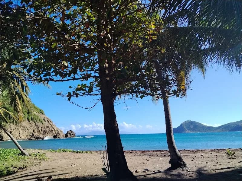 Appartement Anse Figuier - photo 2