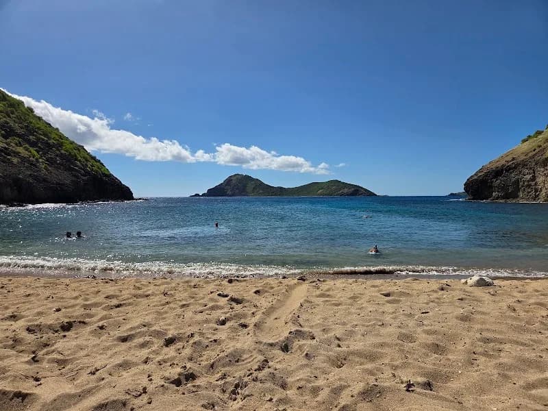 Appartement Anse Rodrigue - photo 2