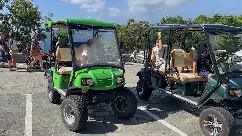 Be Electric - photo 2