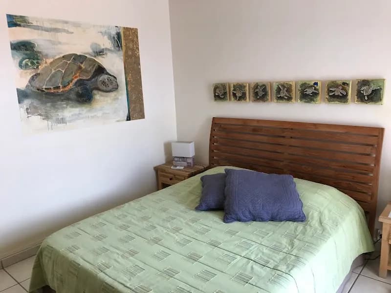 Lô Bleu Hôtel Les Saintes - photo 2