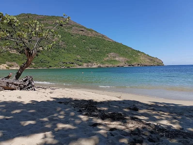 Restaurant Le Pompierre - photo 2