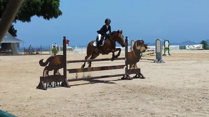 Balade à cheval Les Ecuries de la Coulisse