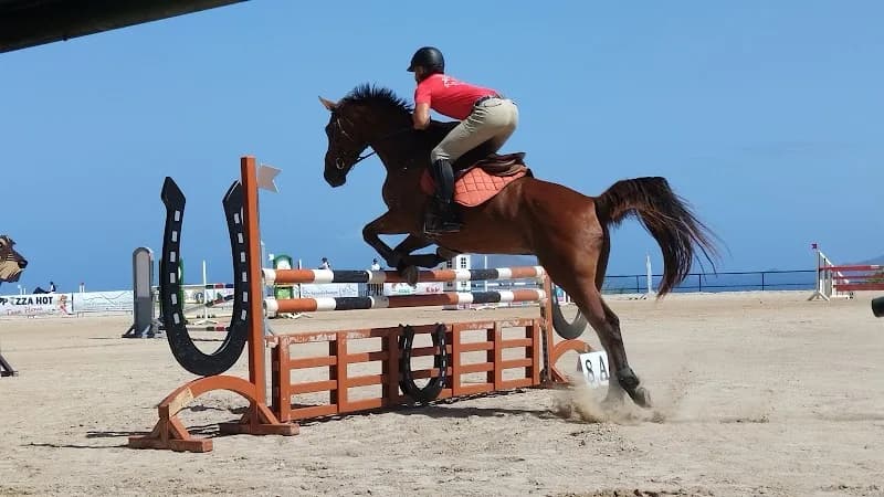 Balade à cheval Les Ecuries de la Coulisse - photo 2
