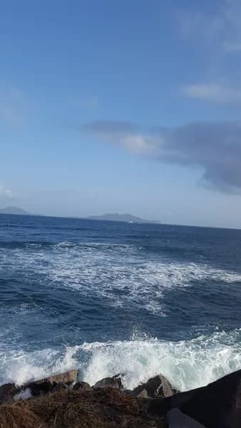 Tharsis Didier - photo 2