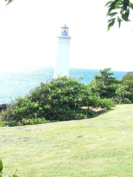 Bibliothèque Vieux-Fort - photo 2