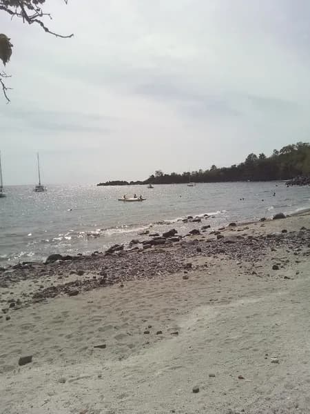 Autosur Vieux-Habitants