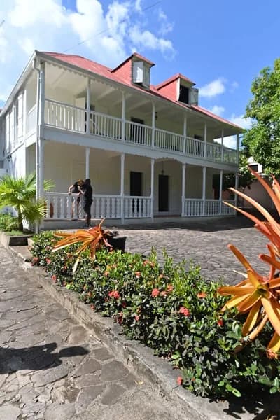 Habiss Vert - photo 2