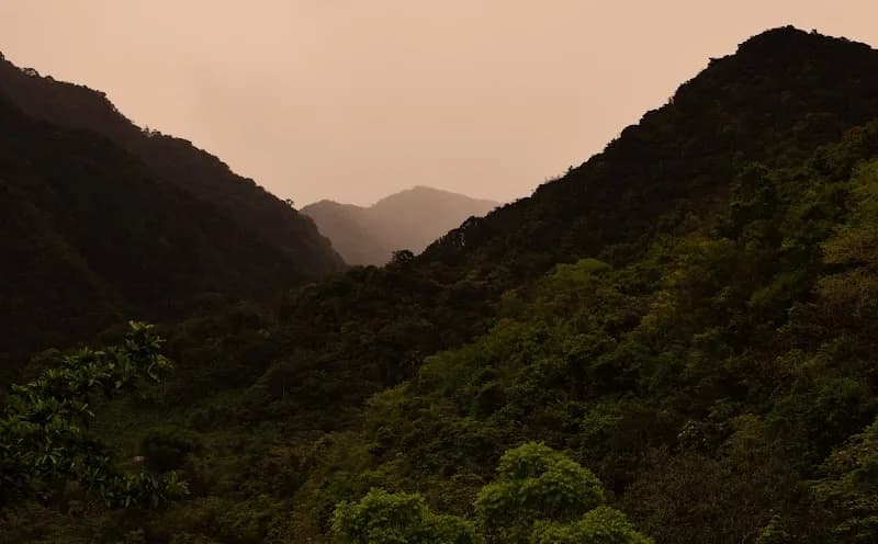 Habitation la Grivelière