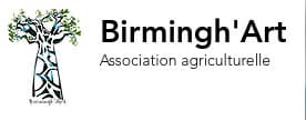 Birmingh’Art Baie Mahault
