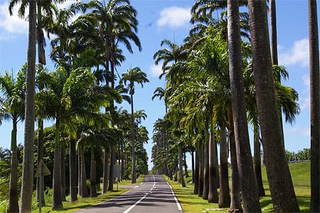 Immobilier Capesterre-Belle-Eau