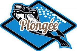 Evad Aqua Scoot Saint François